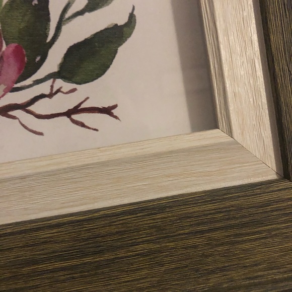 Picture - Picture 4 of 5